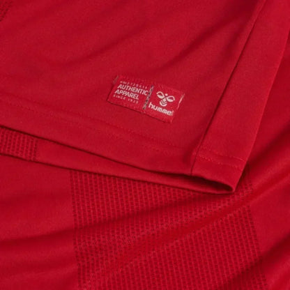 Denmark Home 26/27 Jersey