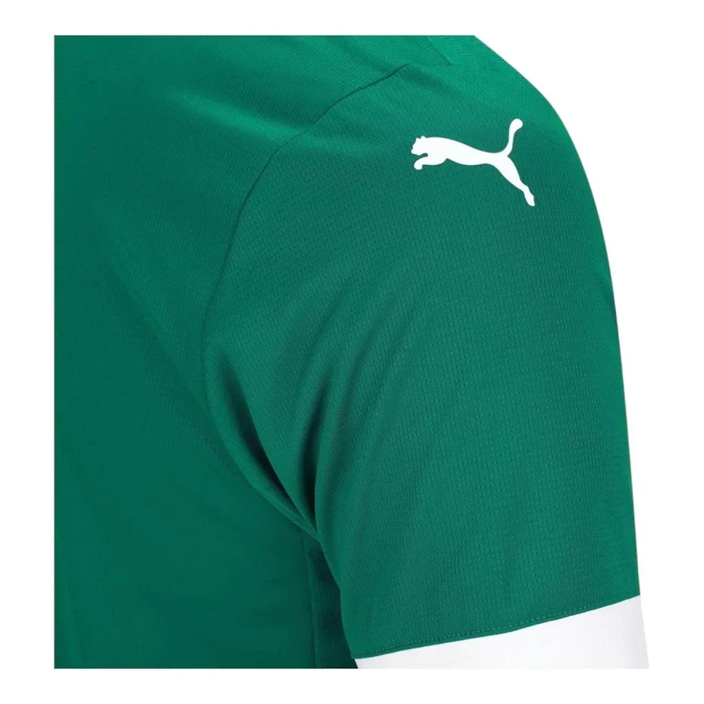 Palmeiras Home 25/26 Jersey